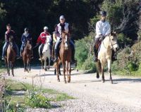 Horse Riding Tours-0