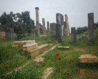 Antike Stadt Nysa-10