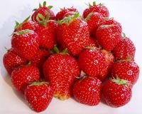 The World Of Strawberry Didim