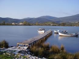 Недвижимость